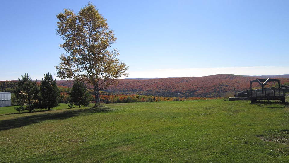 Municipalité de Packington Accueil