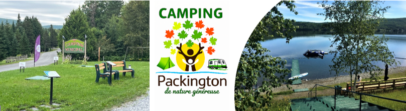 Capture décran 2026 02 11 153440