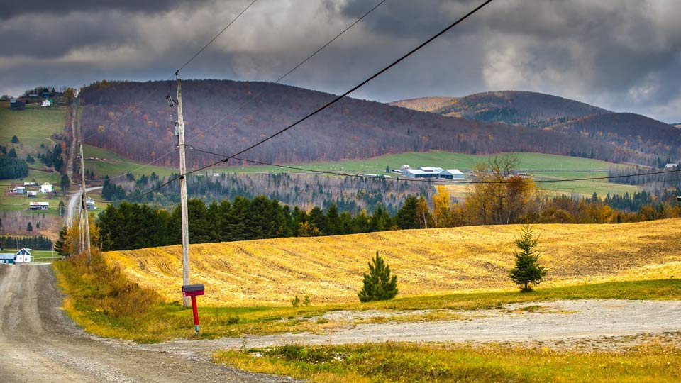 Municipalité de Packington Accueil