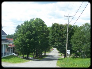 Rue des Érables à Packington